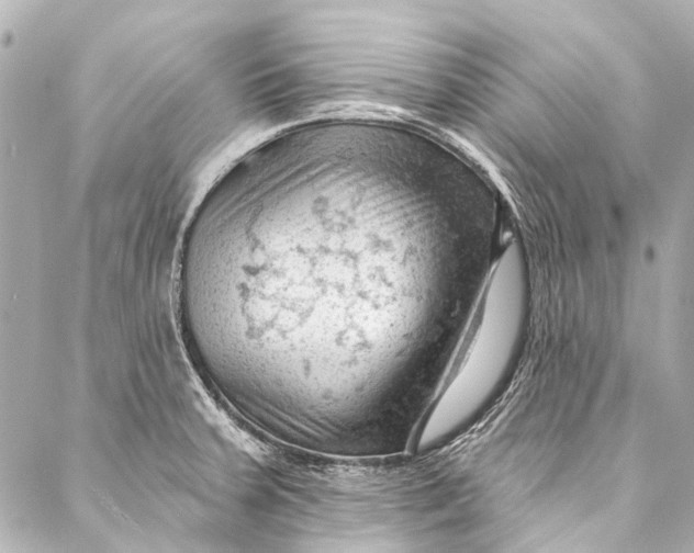 X0000087031379200705071524