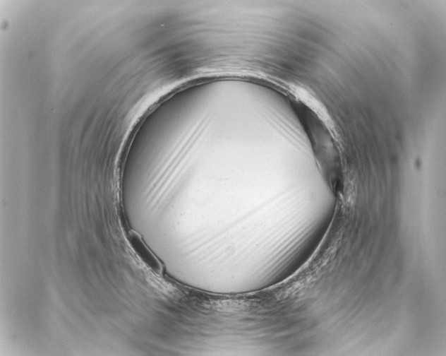 X0000087031380200705071524