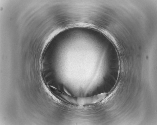 X0000087031381200705071524