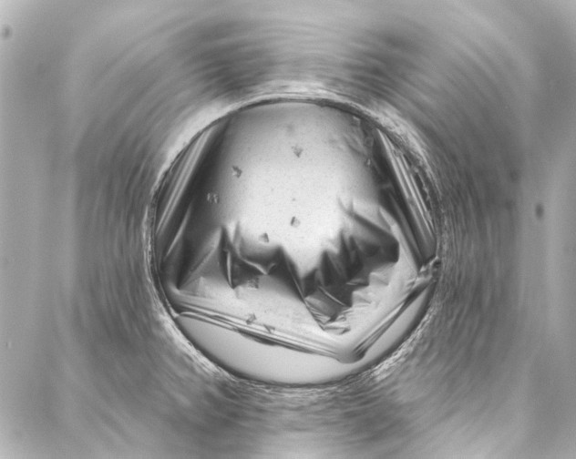 X0000087031382200705071524