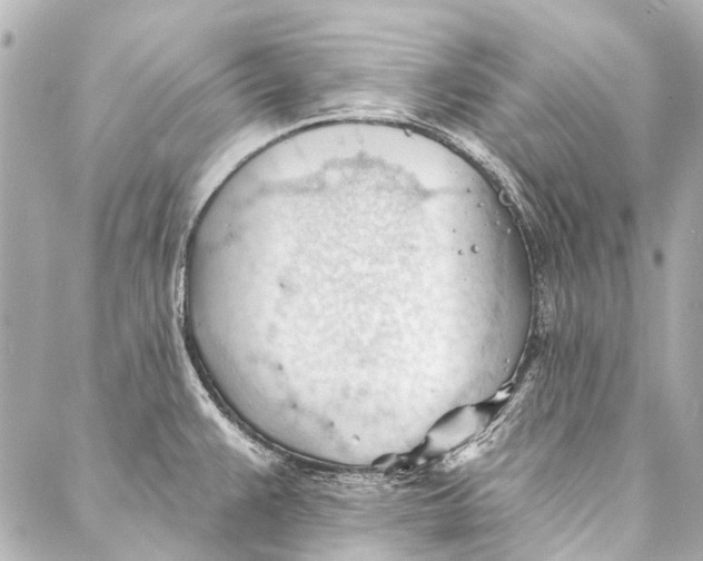 X0000087031383200705071524