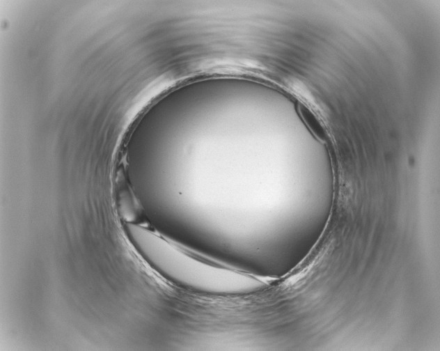 X0000087031384200705071524