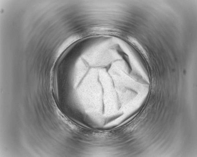 X0000087031386200705071524