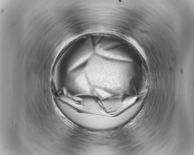 X0000087031388200705071523