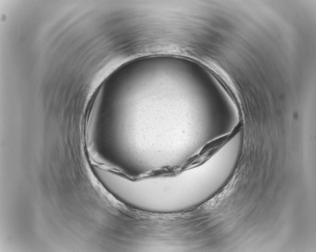 X0000087031389200705071523