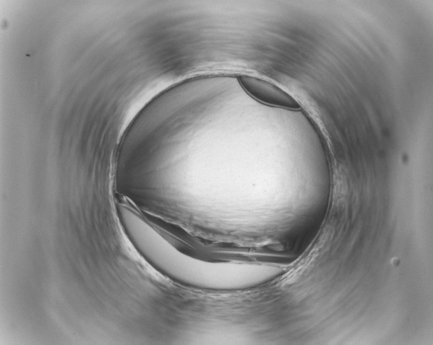 X0000087031390200705071523