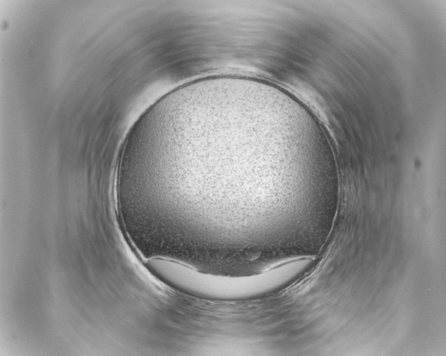 X0000087031391200705071523