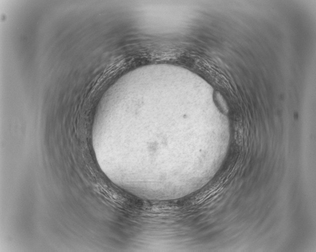 X0000087031393200705071523