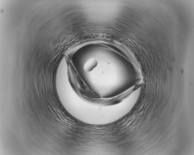 X0000087031394200705071523