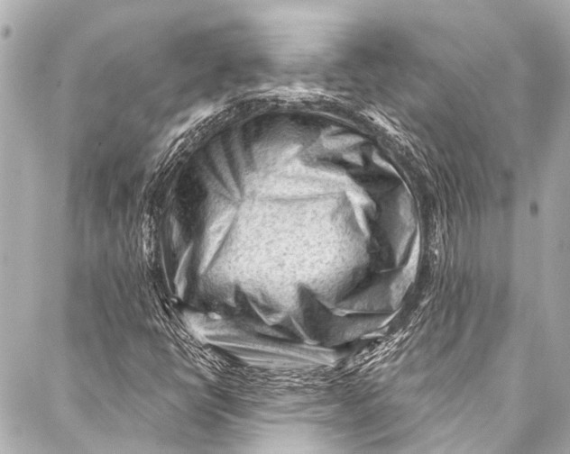 X0000087031398200705071523