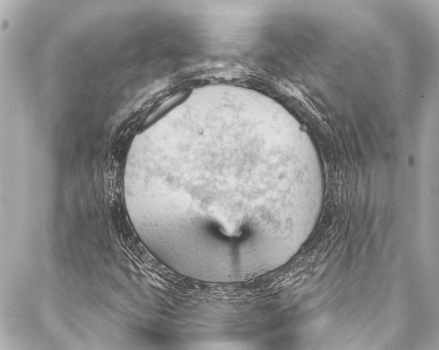 X0000087031399200705071523