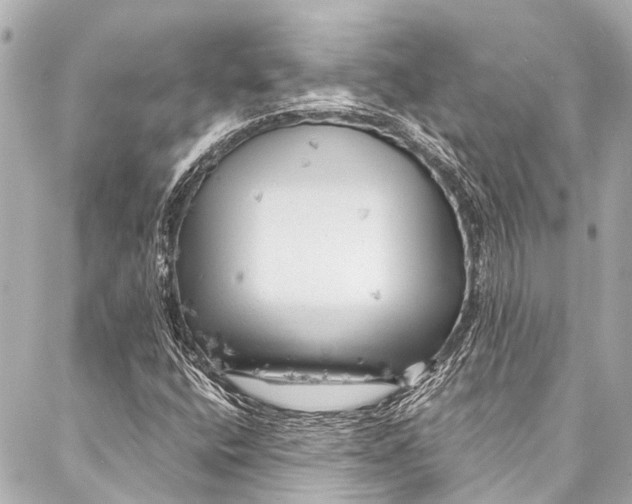 X0000087031400200705071523