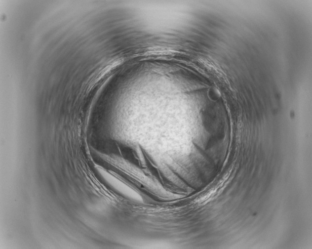 X0000087031401200705071523