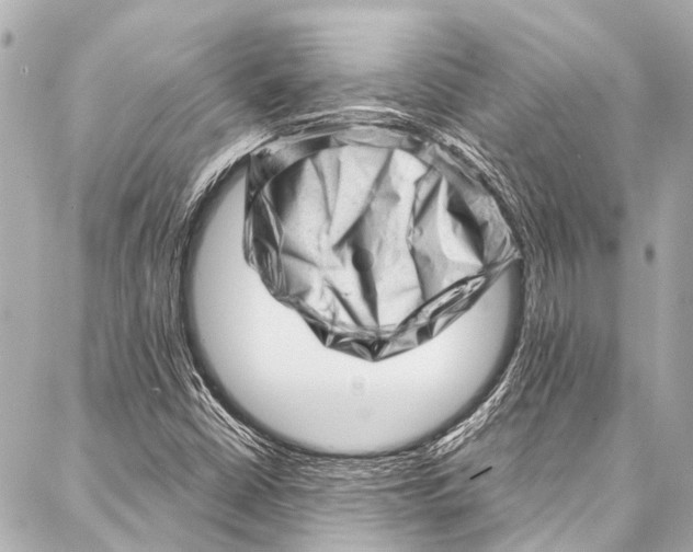 X0000087031402200705071523