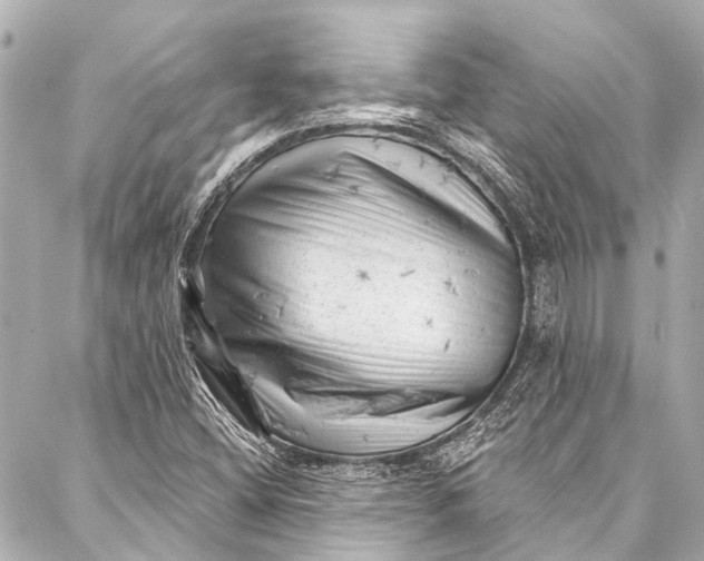 X0000087031404200705071523