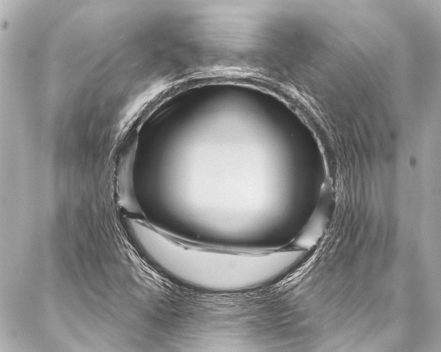 X0000087031406200705071523