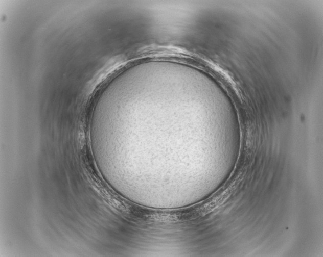 X0000087031407200705071523