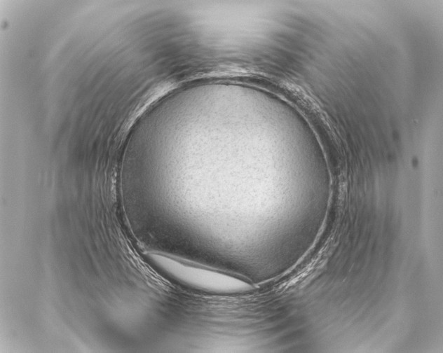 X0000087031409200705071523