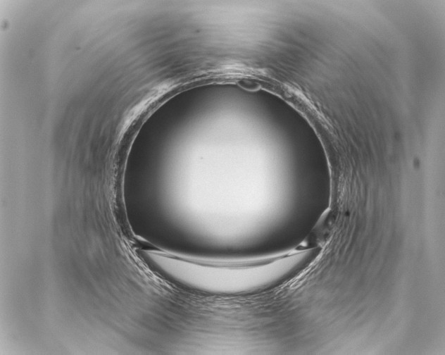 X0000087031410200705071523