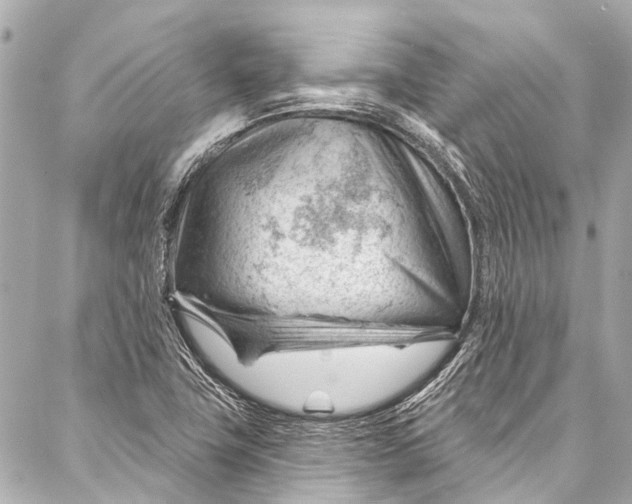 X0000087031411200705071523