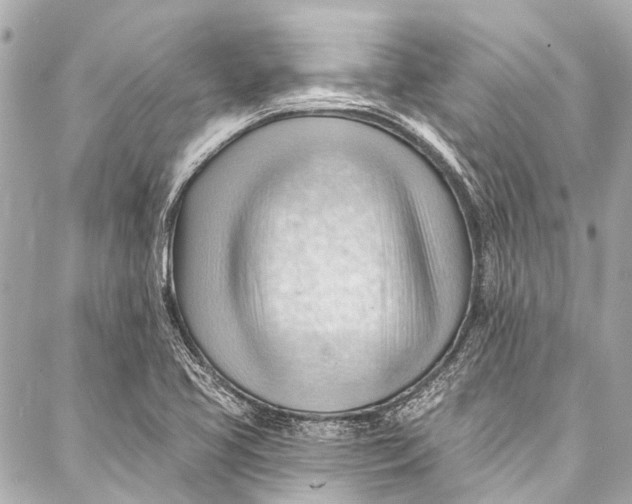 X0000087031413200705071523