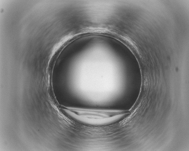 X0000087031414200705071523