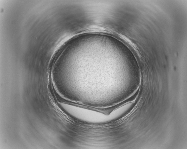 X0000087031415200705071523