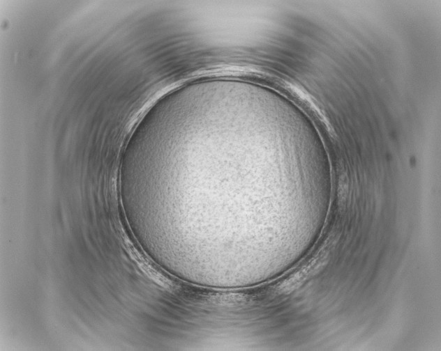 X0000087031417200705071523