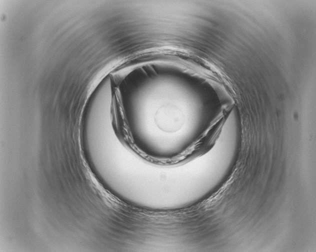 X0000087031418200705071523