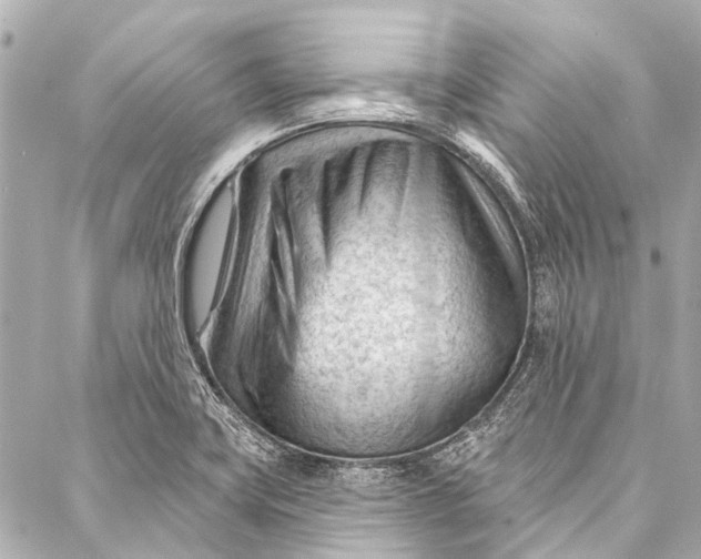 X0000087031419200705071523