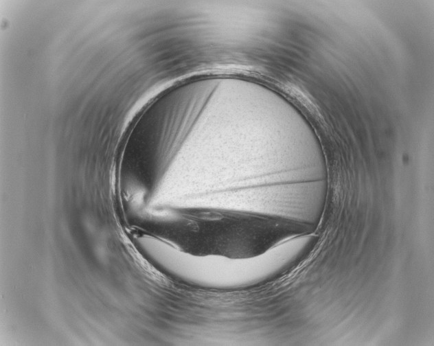 X0000087031420200705071523