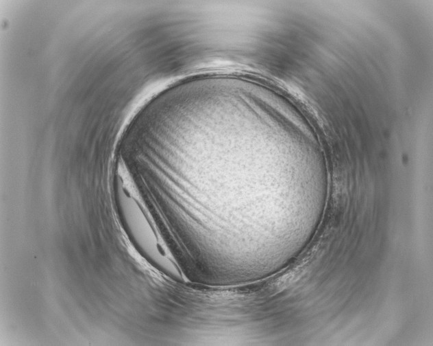 X0000087031421200705071523