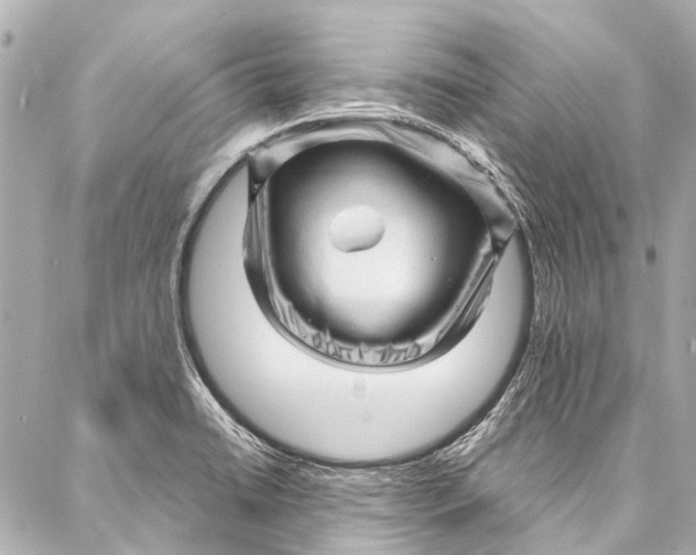 X0000087031422200705071523