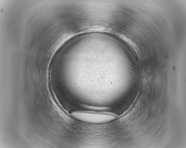 X0000087031423200705071523