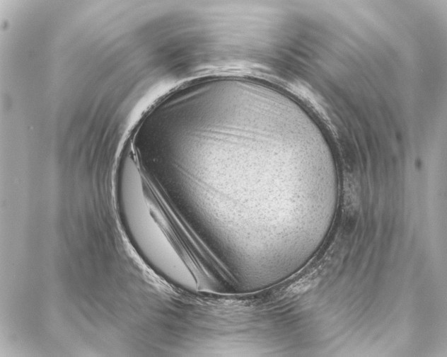 X0000087031424200705071523