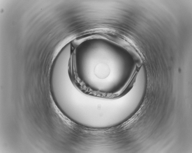 X0000087031426200705071523