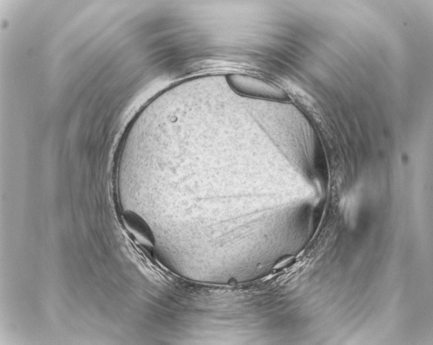 X0000087031427200705071523