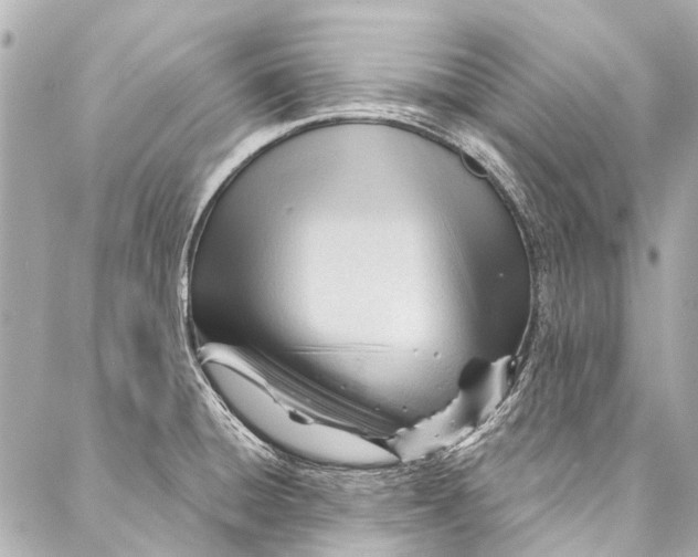 X0000087031428200705071523