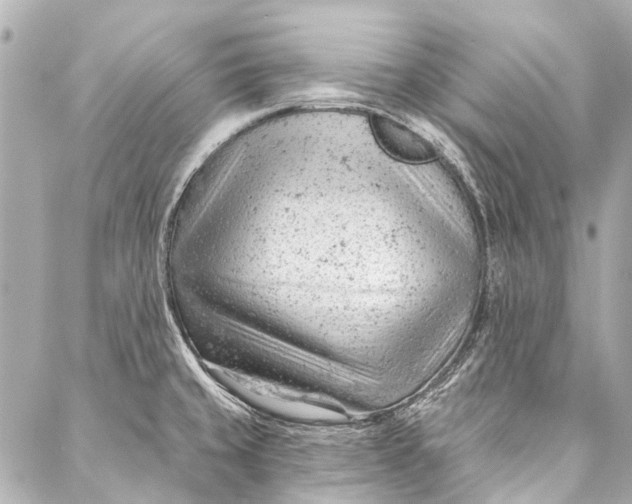 X0000087031429200705071523