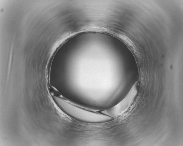 X0000087031430200705071523