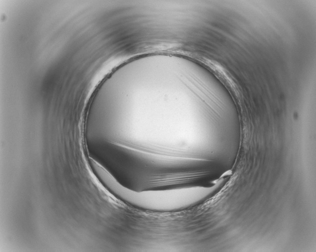 X0000087031432200705071523