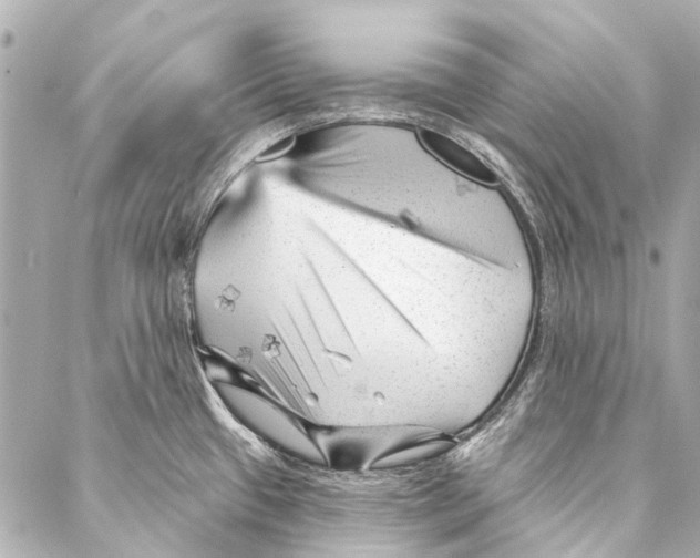 X0000087031433200705071523