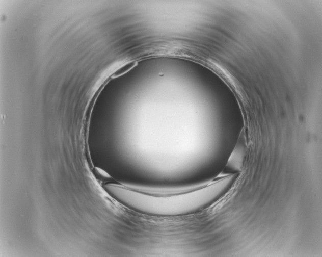 X0000087031434200705071523