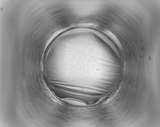 X0000087031436200705071523