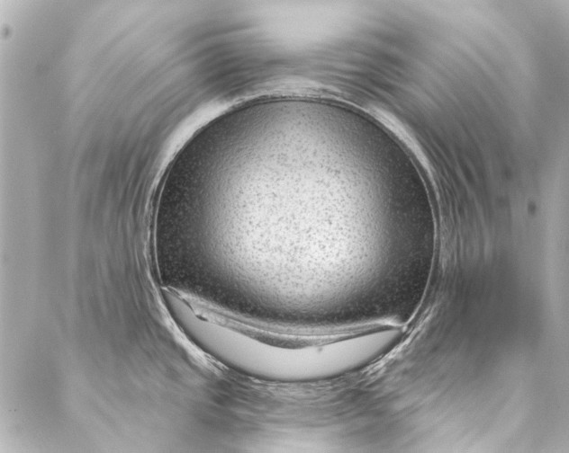 X0000087031437200705071523