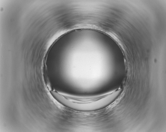 X0000087031438200705071523