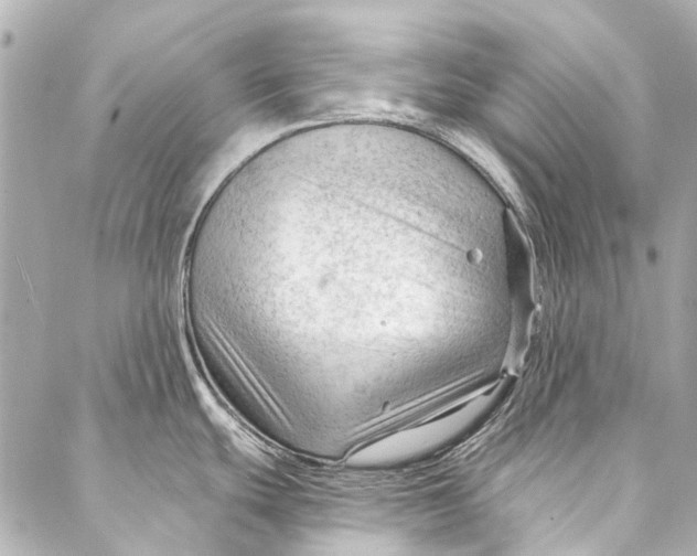 X0000087031439200705071523