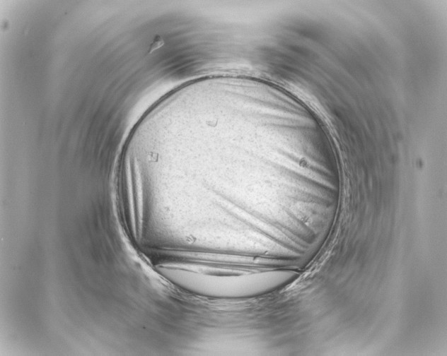 X0000087031440200705071523