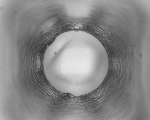 X0000087031442200705071523