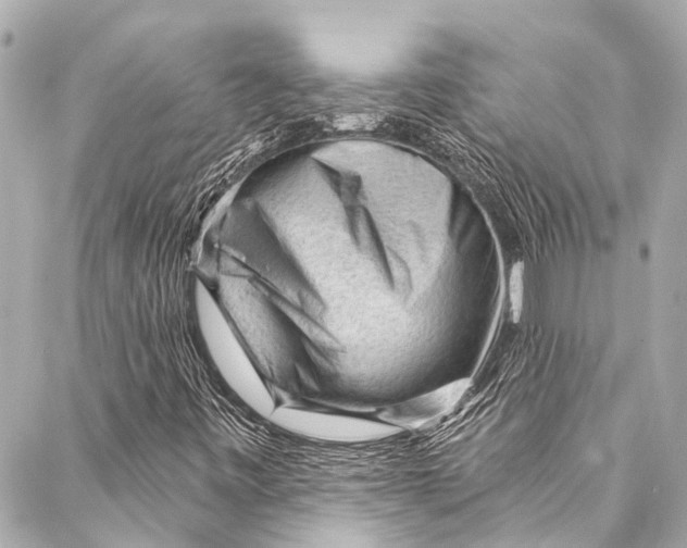 X0000087031443200705071523